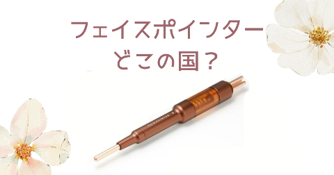 【どこの国】フェイスポインターを買う前に知りたい4つのポイント