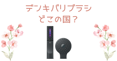 【どこの国】デンキバリブラシを買う前に知りたい4つのポイント