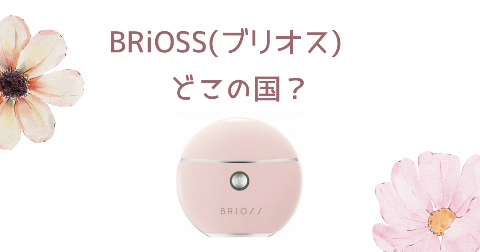 【どこの国】BRiOSS(ブリオス)チャームリフトを買う前に知りたい4つのポイント