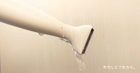 Panasonic フェリエVIOシェーバー