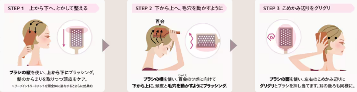 AVEDA(アヴェダ)パドルブラシの使い方