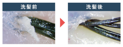 洗浄前と洗浄後の写真