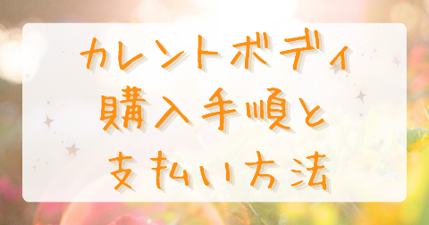 【関税は？】カレントボディの支払い方法＆購入手順を画像つきで解説