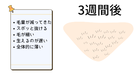 3週間後