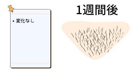 1週間後