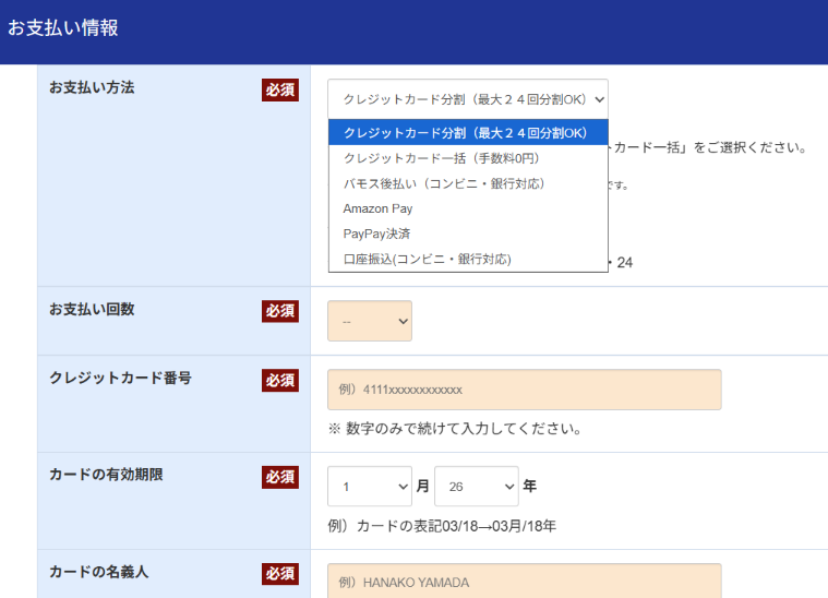 JOVS Dora Scroll 公式ストアの支払い方法選択画面(スクリーンショット)